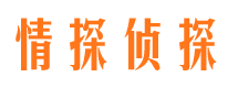 平湖侦探